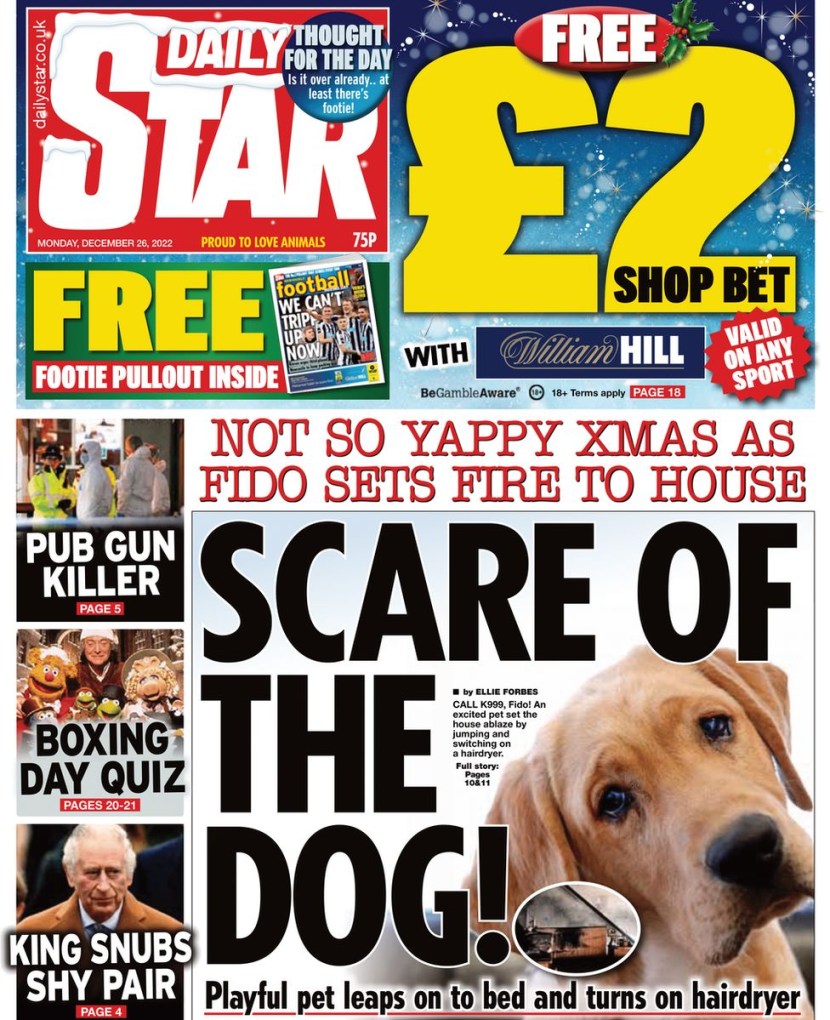 Papal house for dolls lol