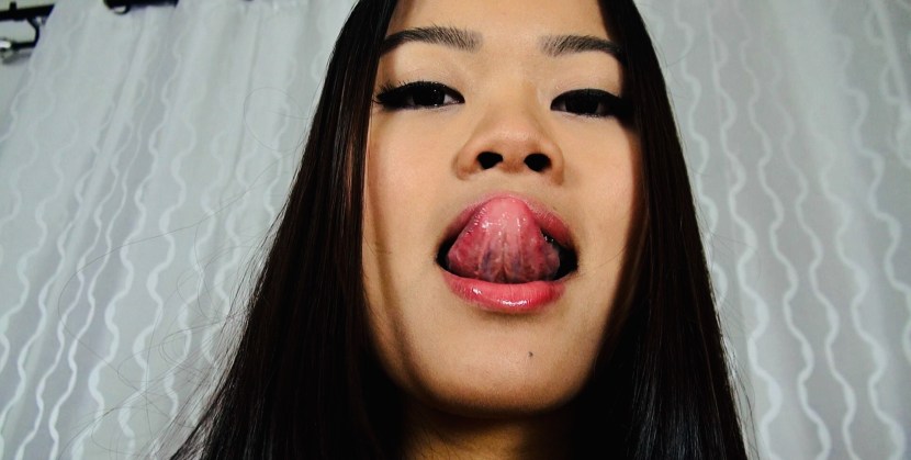 Pale Bay The Long Dark Map