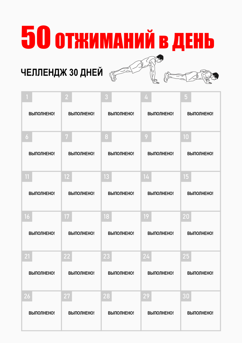 The resume of the programmer