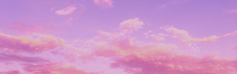 Flowers on the background of the sky