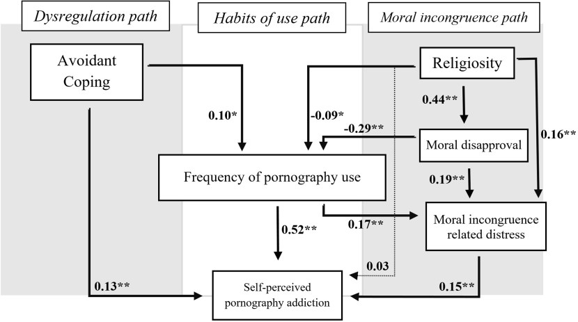 The one who kills the series 2019