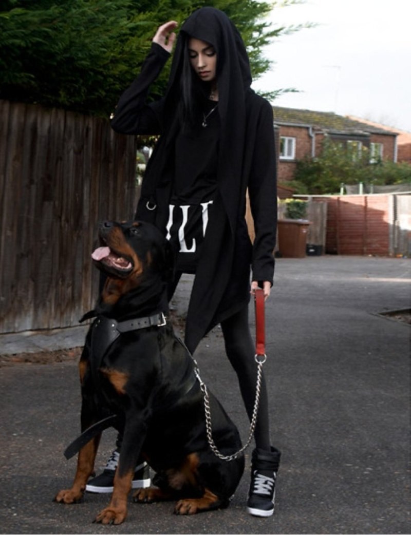 Felice Fawn