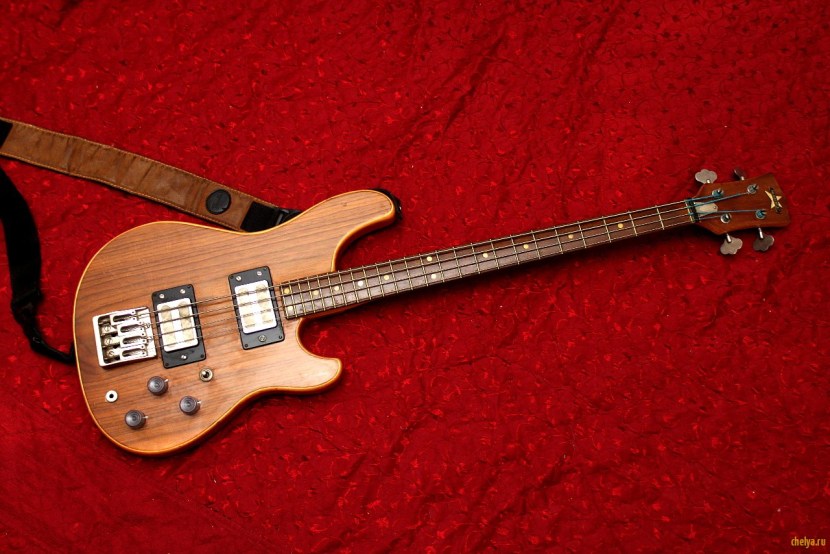 JoLana Iris Bass logo