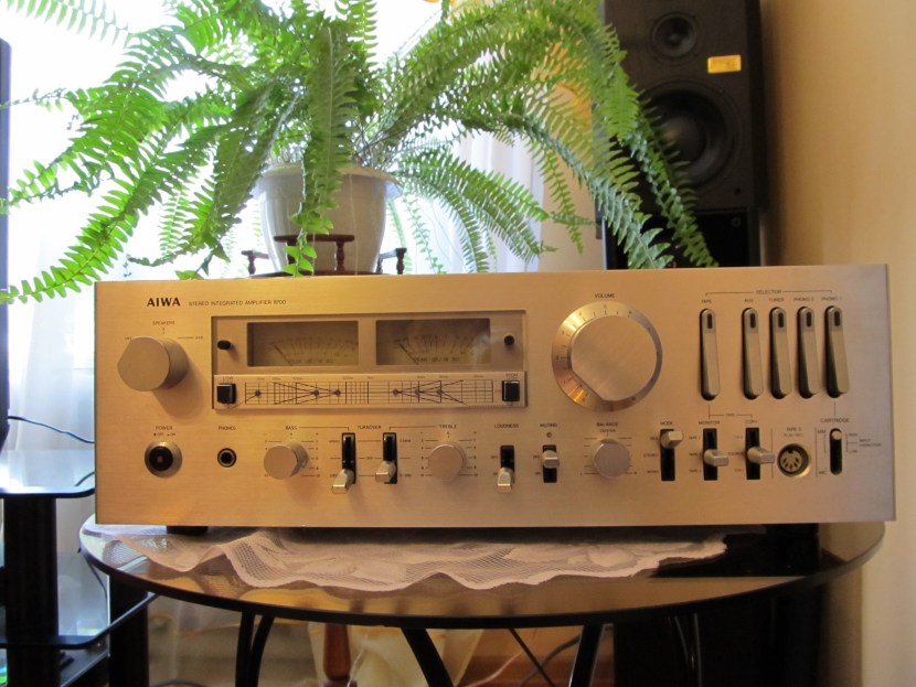 AIWA Naked Privata Record