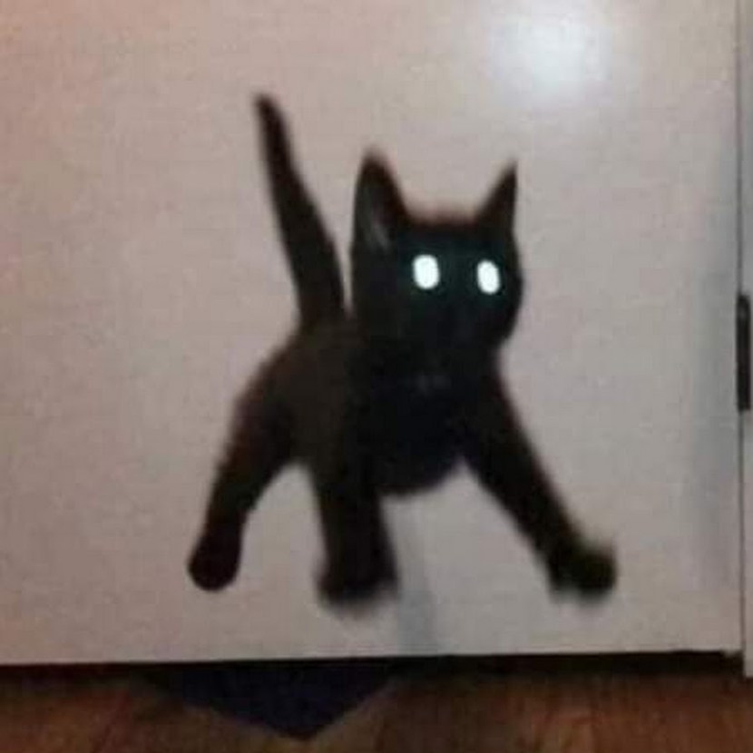 Diana Ushakova Model