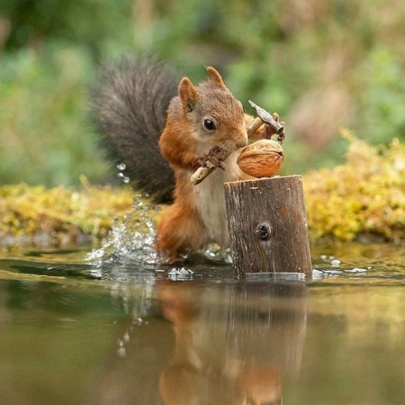 Elena Ovchinnikova Naked