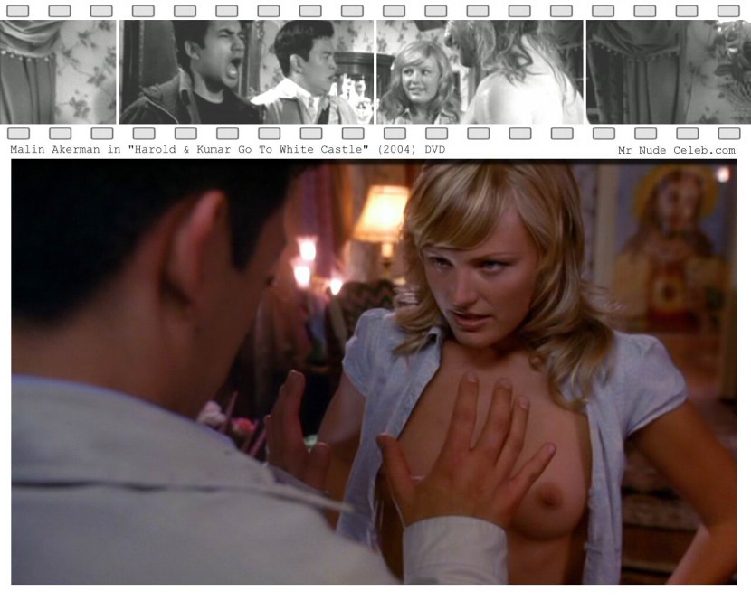 Malin Akerman breasts