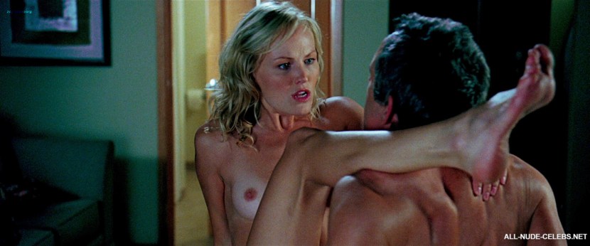 Malin Acerman naked in the film