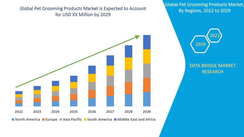 Infographics market