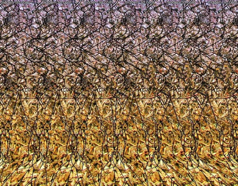 Stereogram Porn - Porn stereogram - Best adult videos and photos