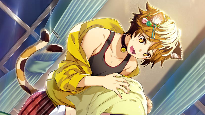 Nekopara Catboys Paradise