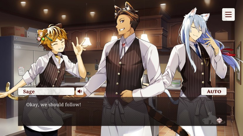 Nekopara Catboys Paradise