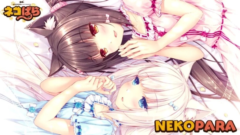 Nekopara Catboy Paradise