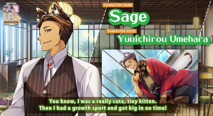 Anime Koshachi paradise coconate