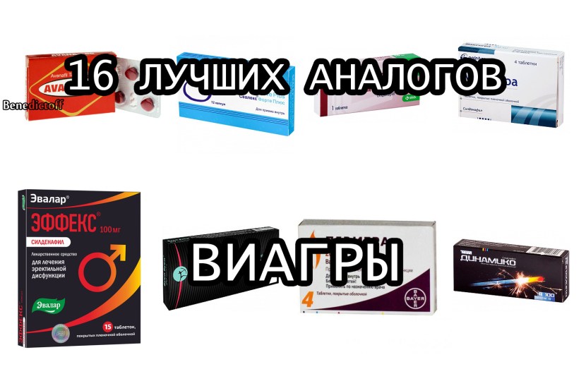 Evie Erickson Leaked