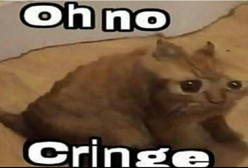 OH No Cringe meme