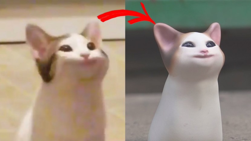 . Meme cats shields t