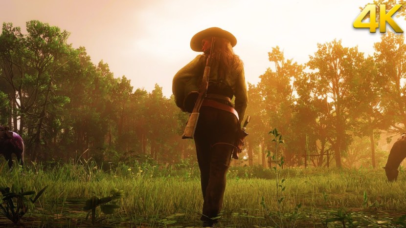 Peyton Roy Liszt TV series Jesse