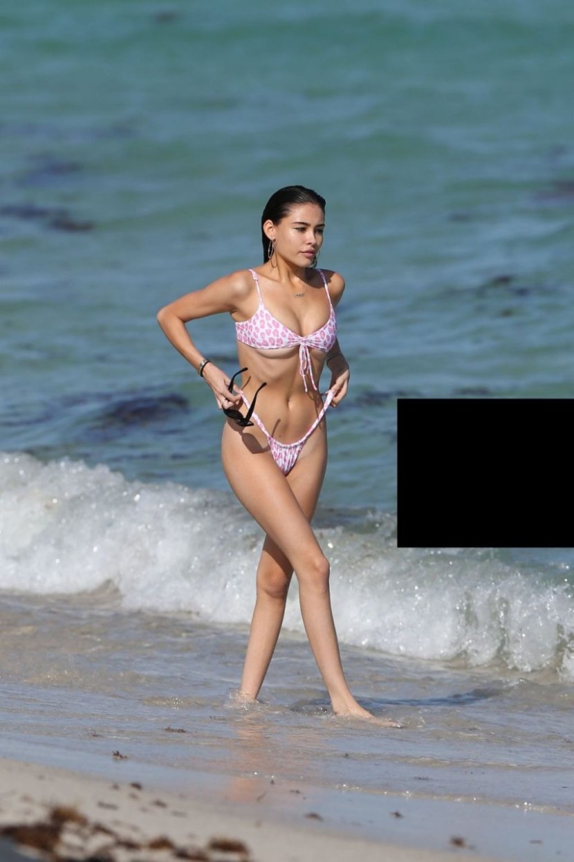 Spectacular Celebrity Delizza