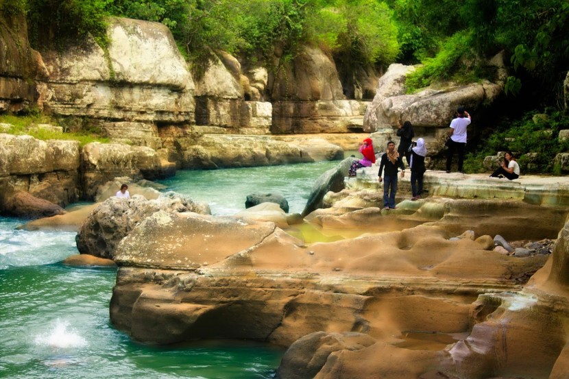 Funny cat from the Internet