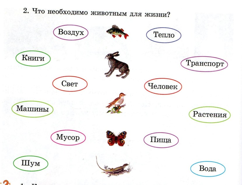World Ocean Grade 6 Geography Contour map