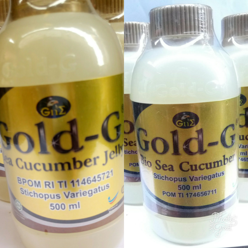 Sea cucumber Trepang