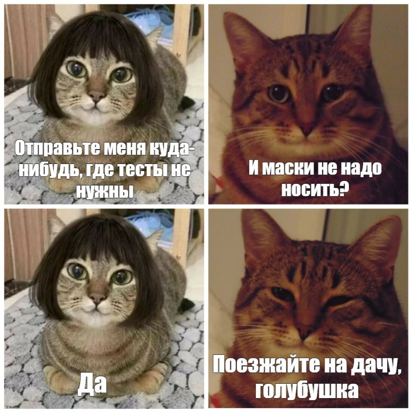 Sea of Thieves Piggy