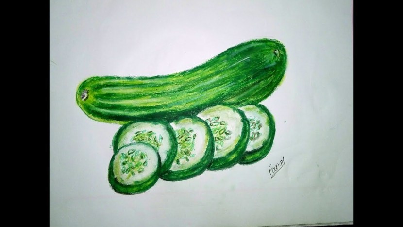 Sea Cucumber Softgel