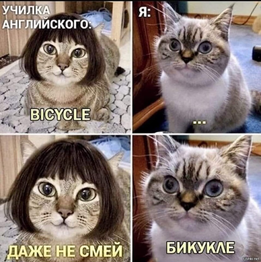 Benedict Cyberskotch