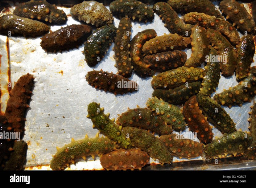 Thai creams gamat slave white ointment description appointment