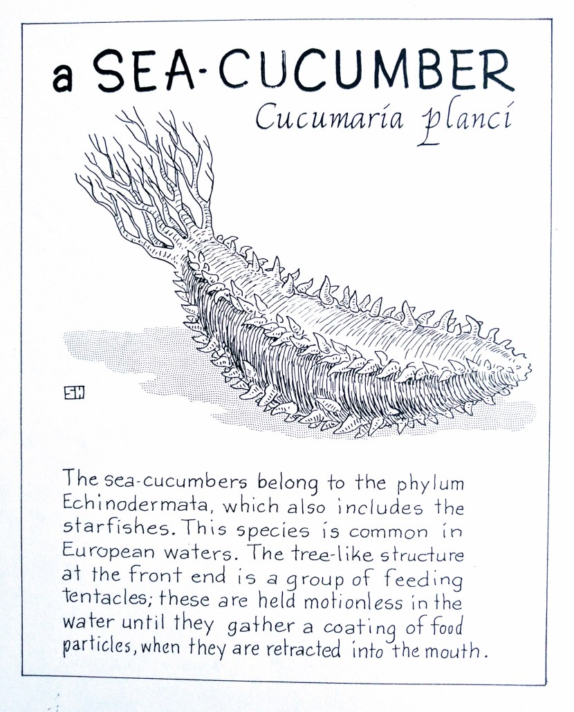 Picture Flying Dutchman Aivazovsky