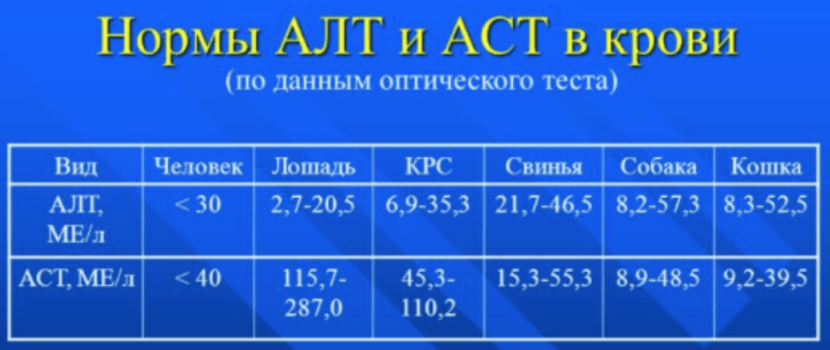 Lancaster Boarding House Game