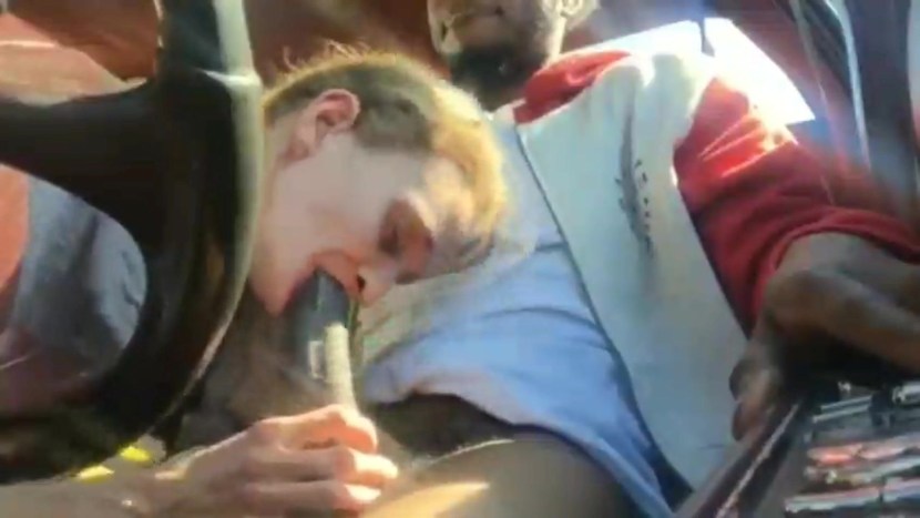 How to Train Your Dragon Light Fury Furi Nude