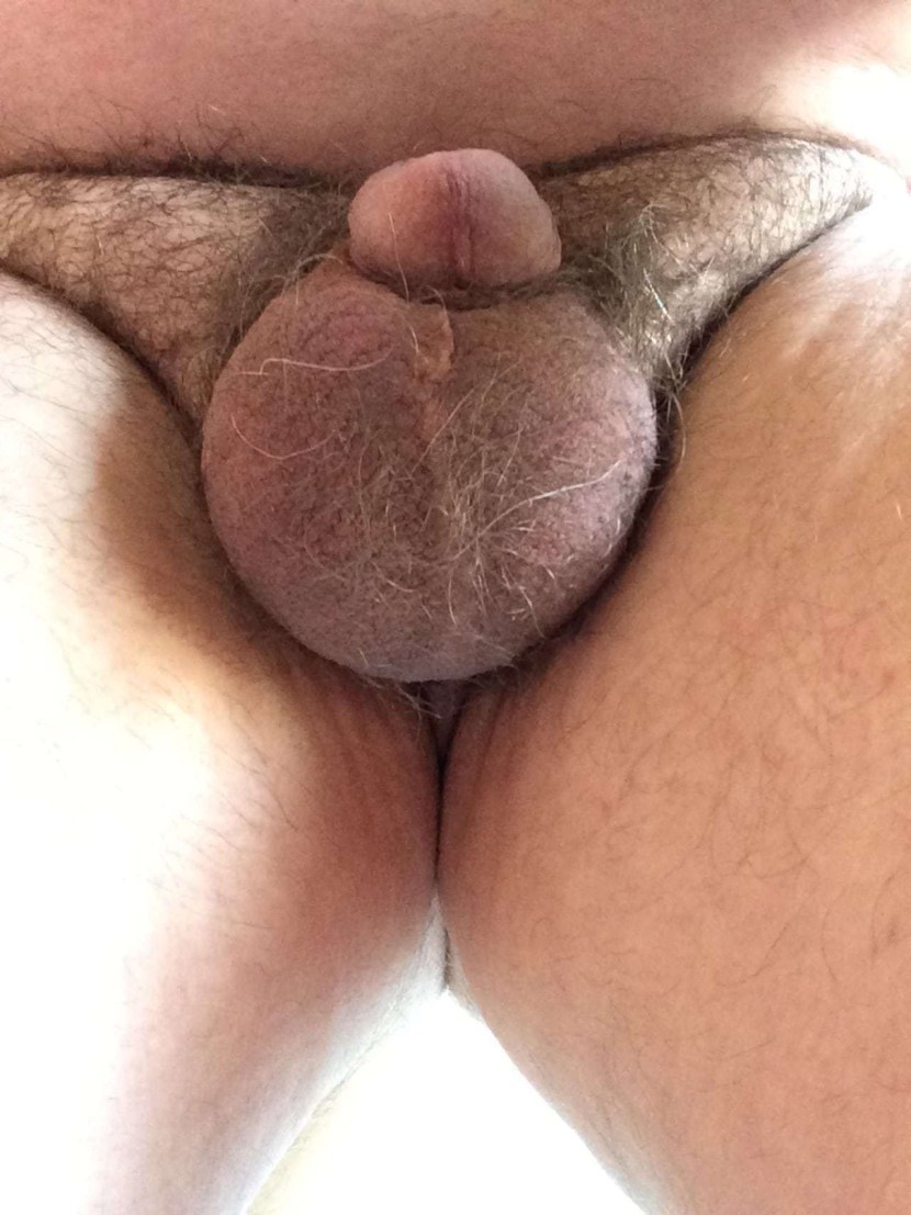 Comparative dimensions of the penis