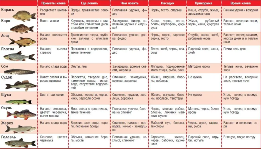 Masha plus XXX Masha plus 18