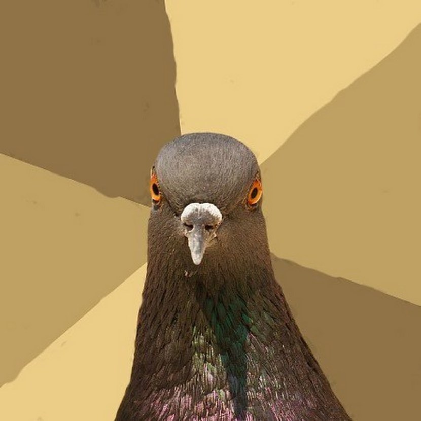 Women's anus with an expander