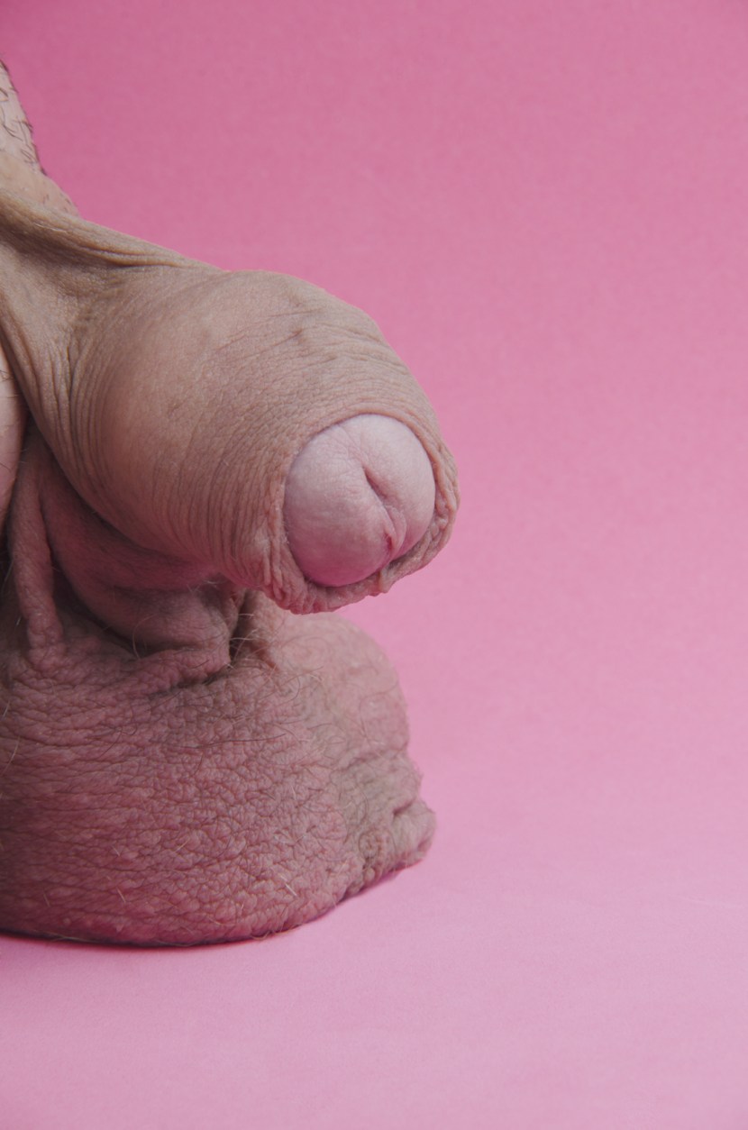 Sexo Gay Desenho No Clube da Putaria Ful