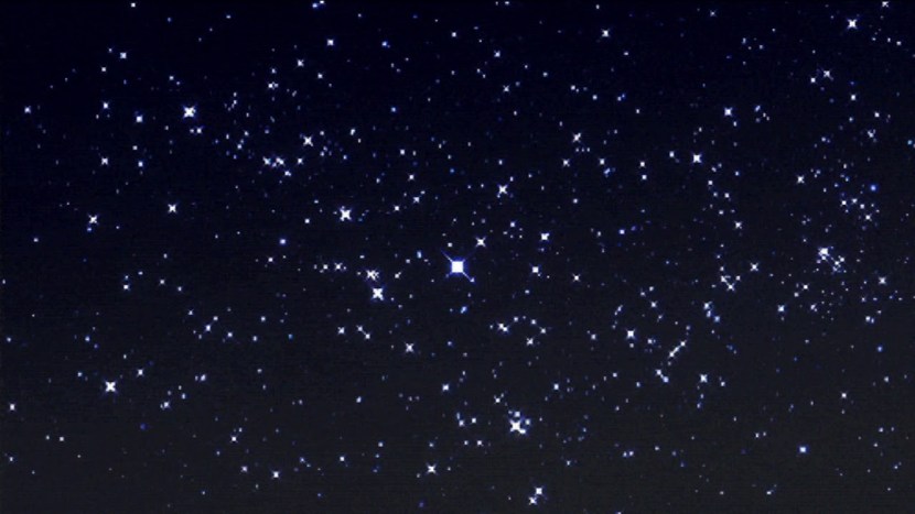 Beautiful scenes of love