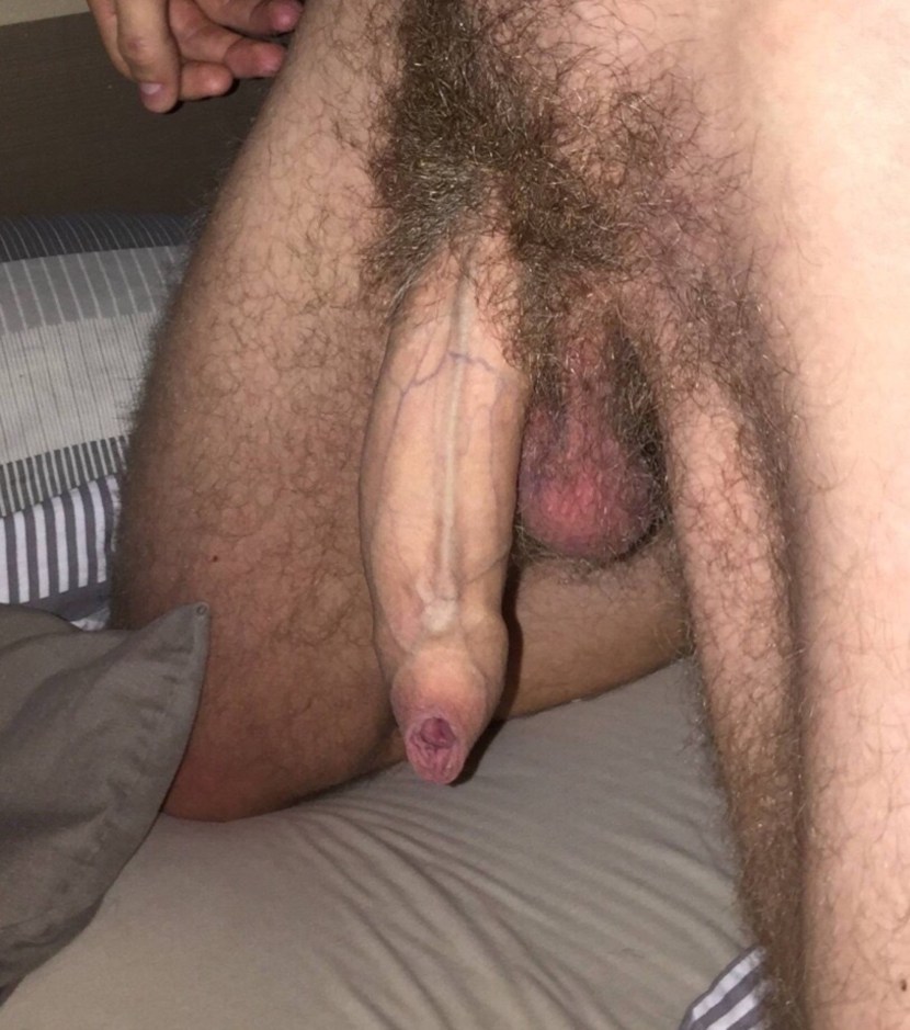 Shaved Circumcified Flaccid Penis at home