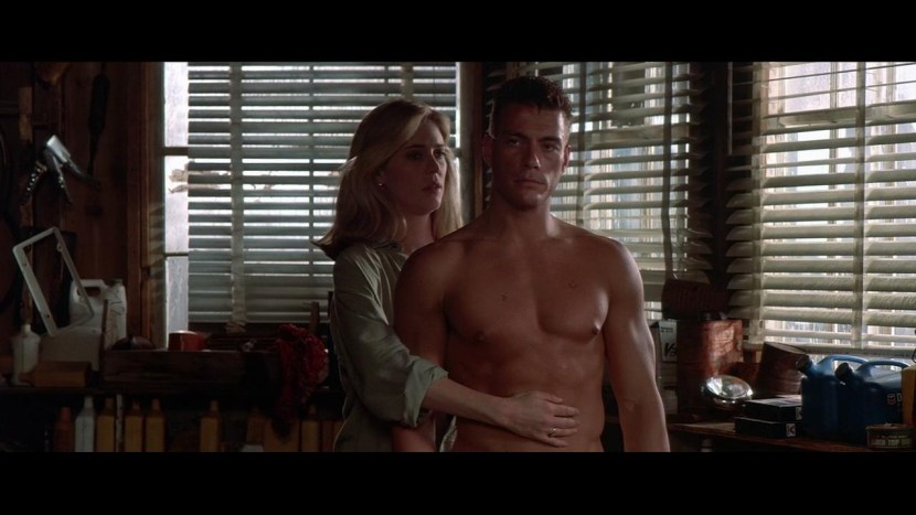 Elena koshka vixen porn actress