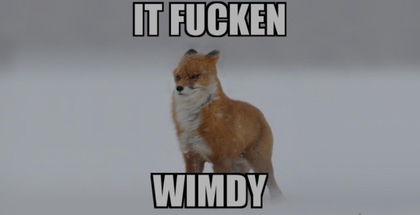 Priva Rey Nikky Blond Porn movie