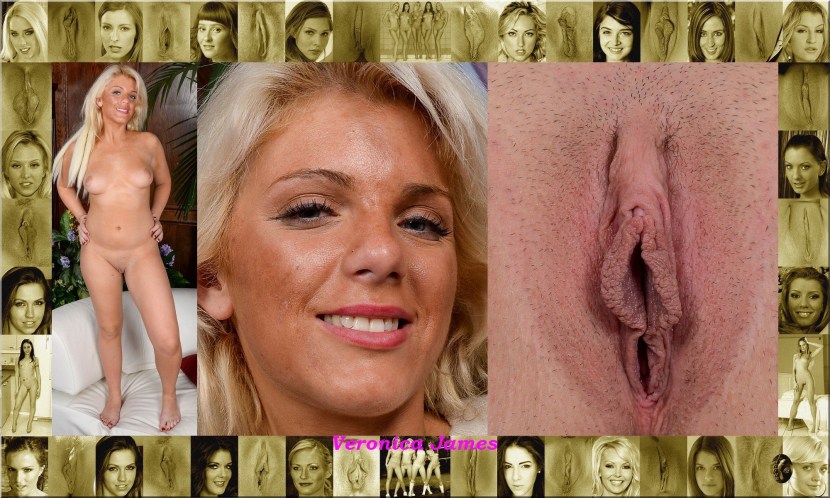 Beautiful vagina and faces