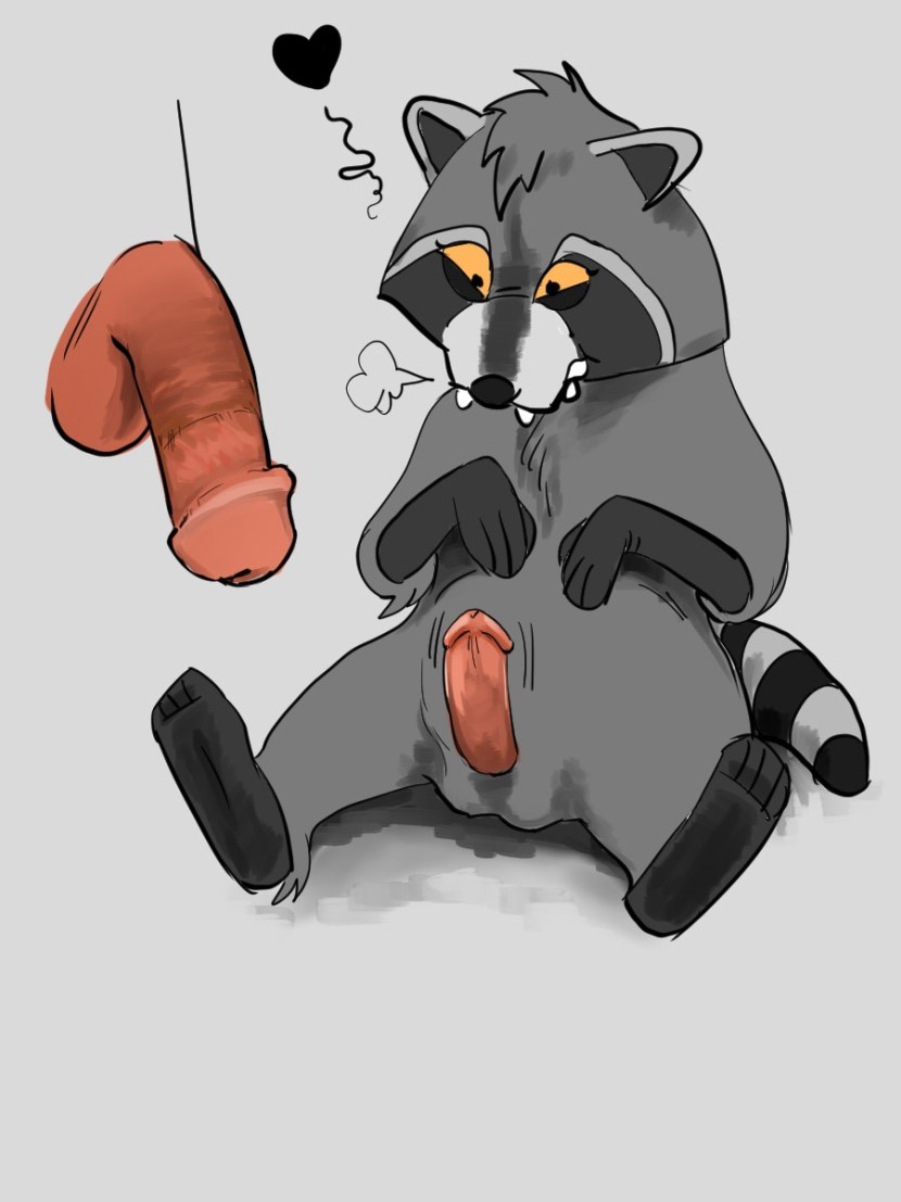 Hentai Furri raccoon rocket