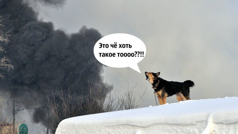 CARNAL CATSUIT CRAVINGS KARMA RX & KEIRAN LEE