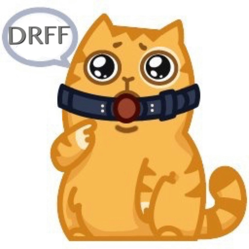 VK stickers cat Persik