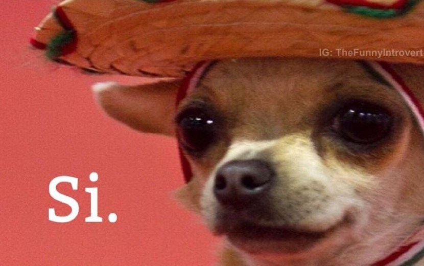 Girls in the compartment