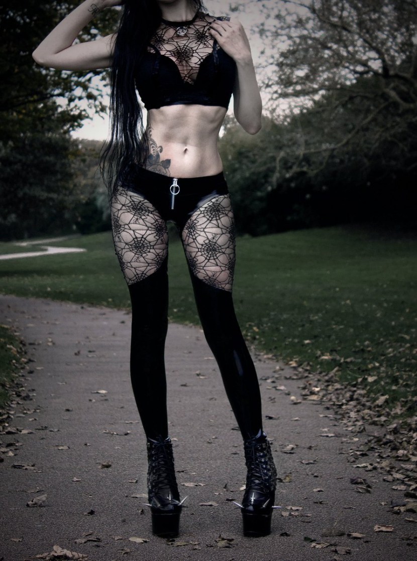 Anorexica Felis Favn