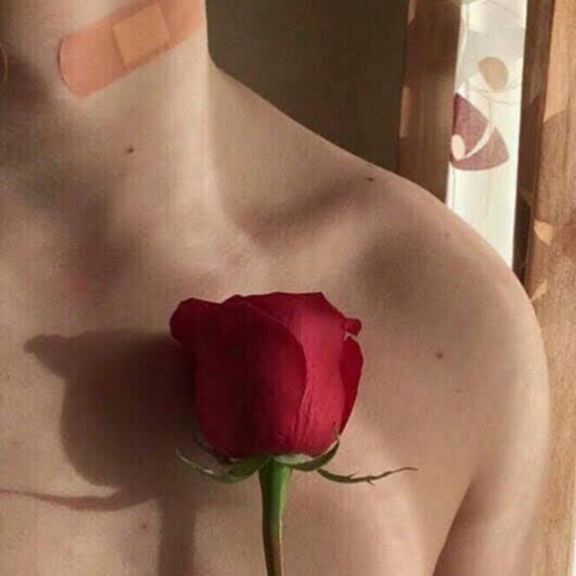 Felice Fawn anorexia