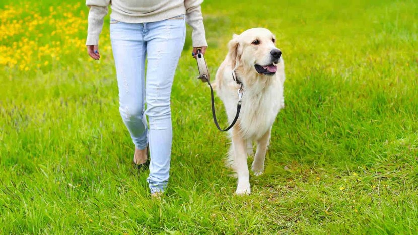 Johanna Felicia Herrsstedt