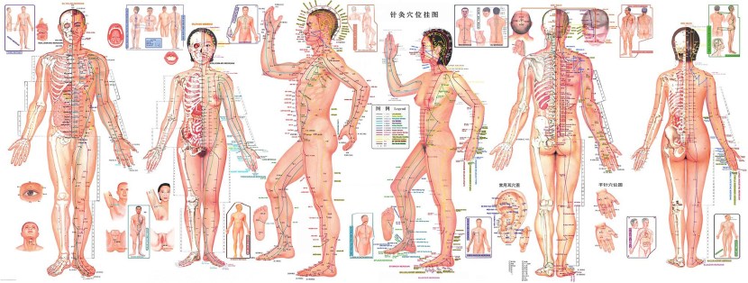 TEYES CC2 Plus camera connection diagram